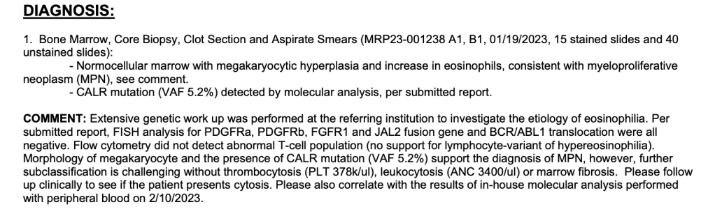 Normocellular marrow with megakaryocytic hyperplasia and increase in eosinophils, consistent with myeloproliferative neoplasm...further subclassification is challenging.