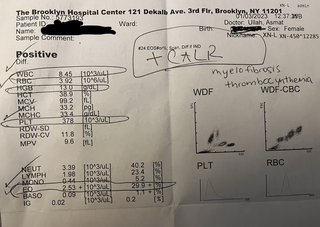 paper printout of a complete blood count result from Jan 3, 2023 with the words CALR+, myelofibrosis, and thrombocynthemia written in pen